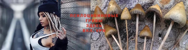 мет Заводоуковск