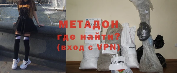 амф Ельня
