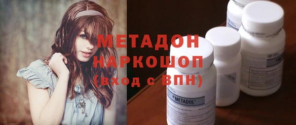 амф Ельня