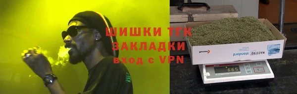гидра Елизово