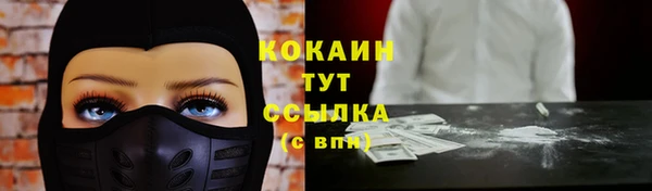 мет Заводоуковск