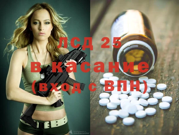 амф Ельня