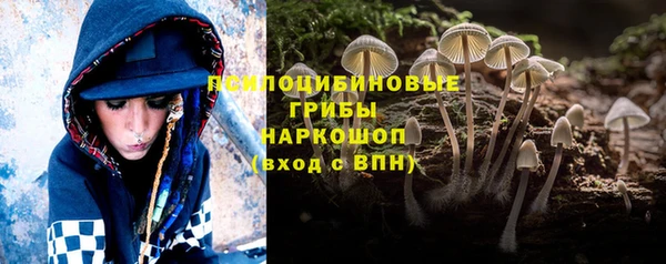 мет Заводоуковск