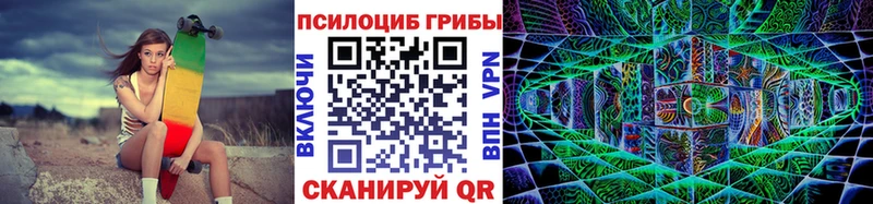 Псилоцибиновые грибы мицелий  где можно купить наркотик  Рубцовск 